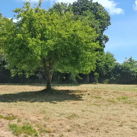 Maison Spacieuse A Avec Jardin Et Terrasse Ferienhaus *